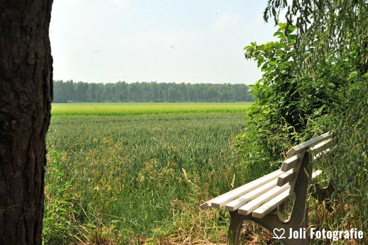Buitengoed Het Achterdiep Ter Apel Bagian luar foto