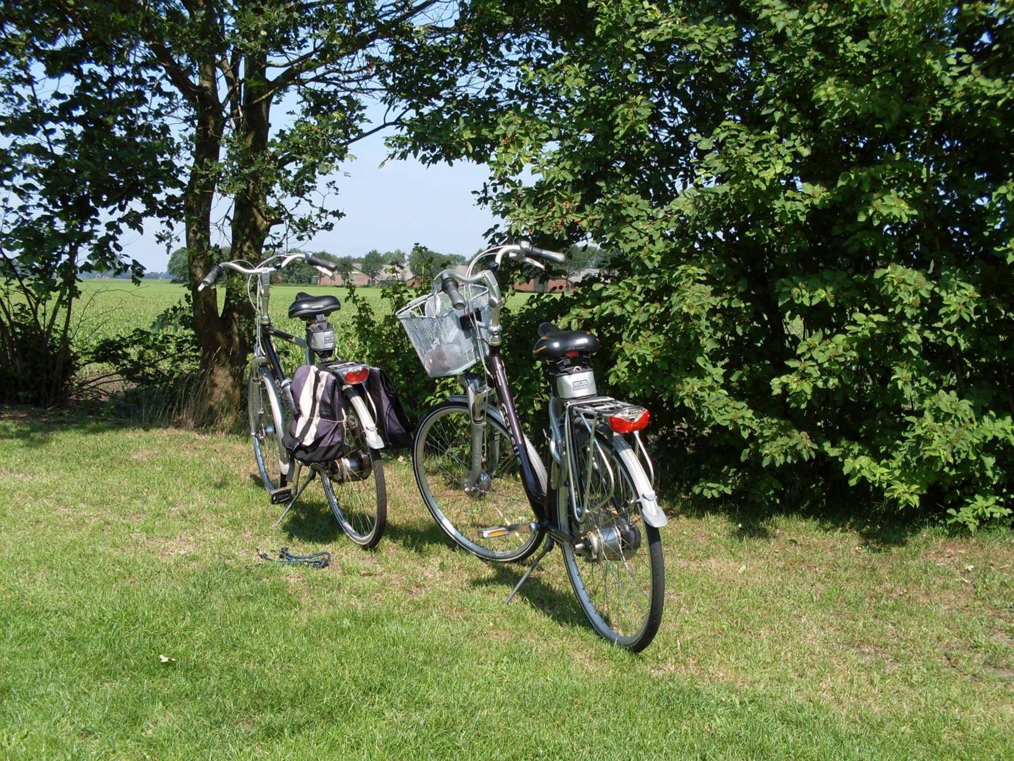 Buitengoed Het Achterdiep Ter Apel Bagian luar foto