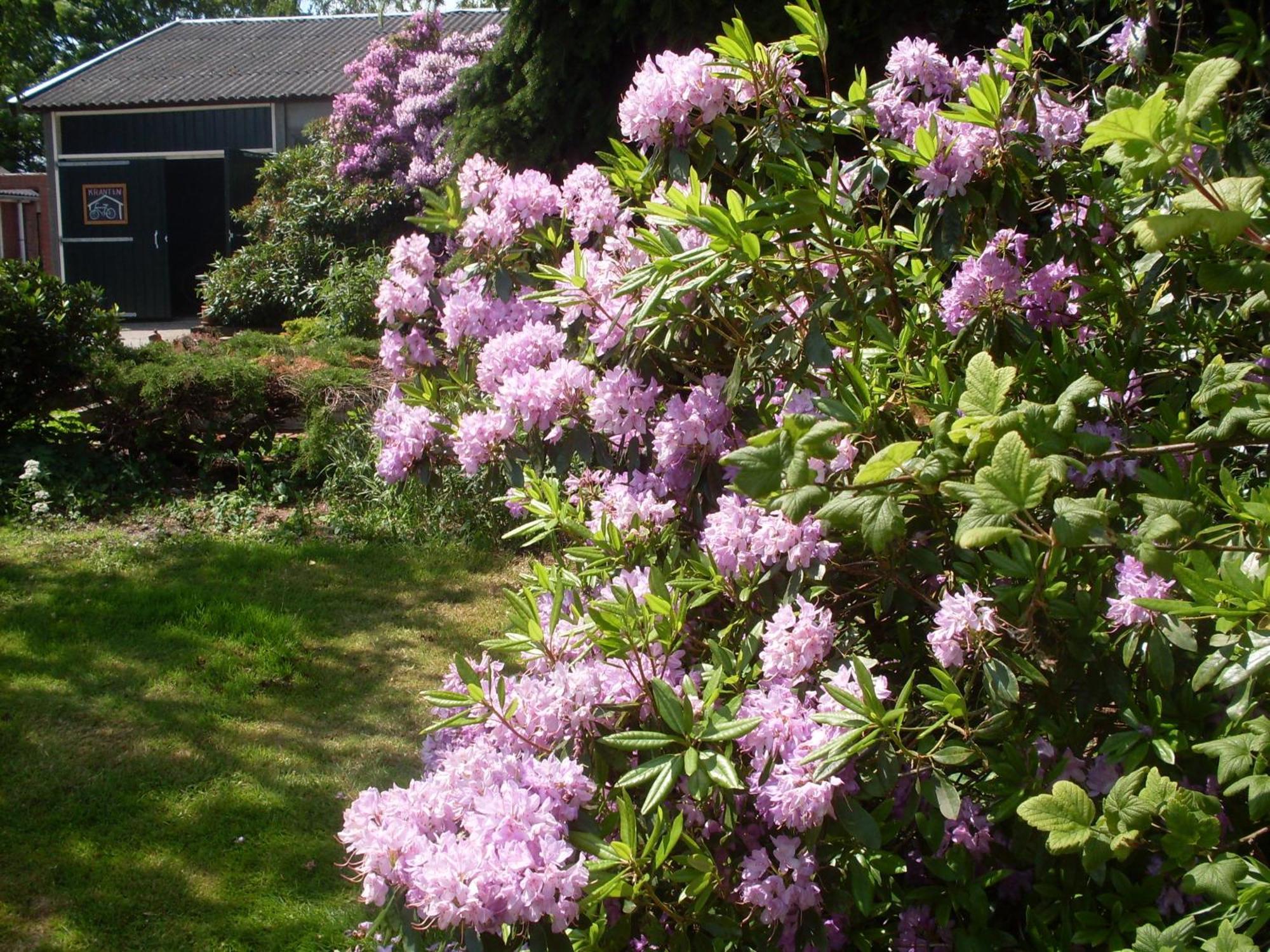 Buitengoed Het Achterdiep Ter Apel Bagian luar foto